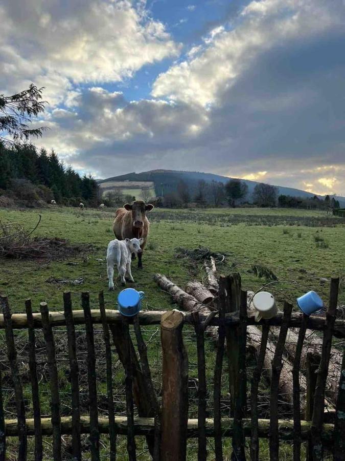 Aughavannagh Yurt Glamping 奥赫里姆 外观 照片