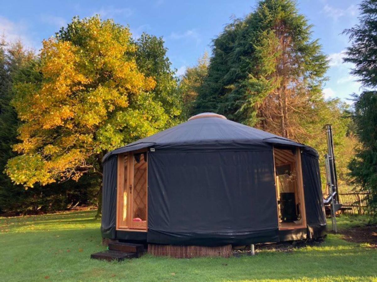 Aughavannagh Yurt Glamping 奥赫里姆 外观 照片