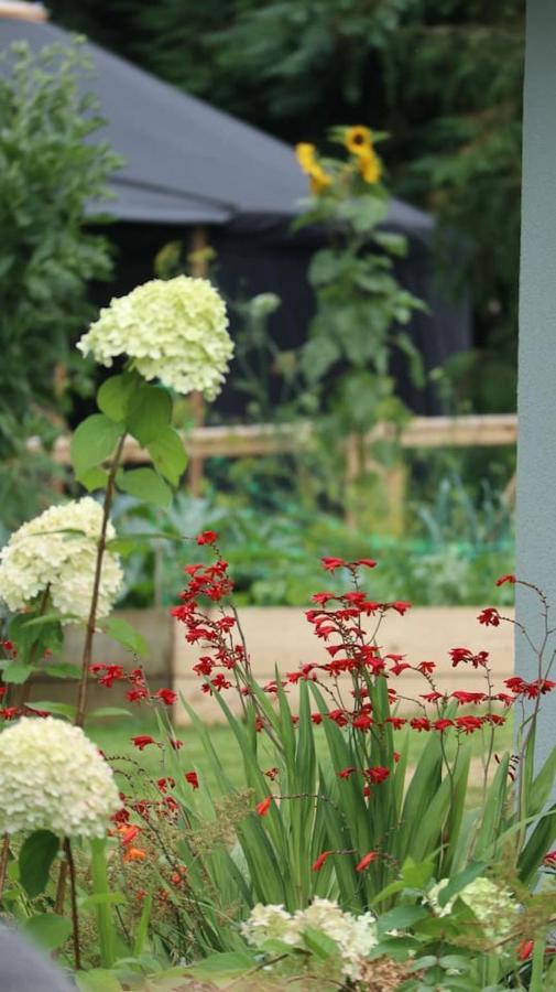 Aughavannagh Yurt Glamping 奥赫里姆 外观 照片