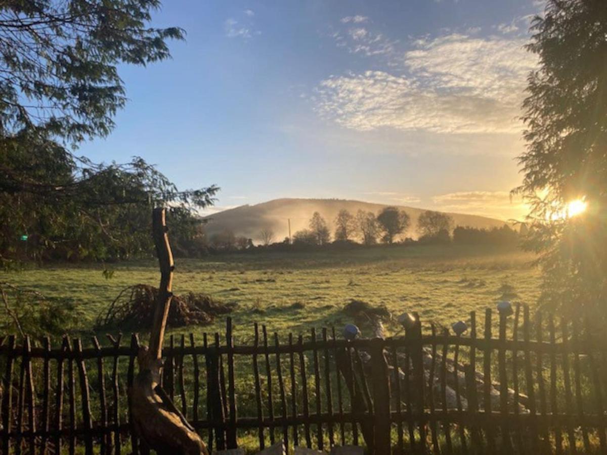 Aughavannagh Yurt Glamping 奥赫里姆 外观 照片